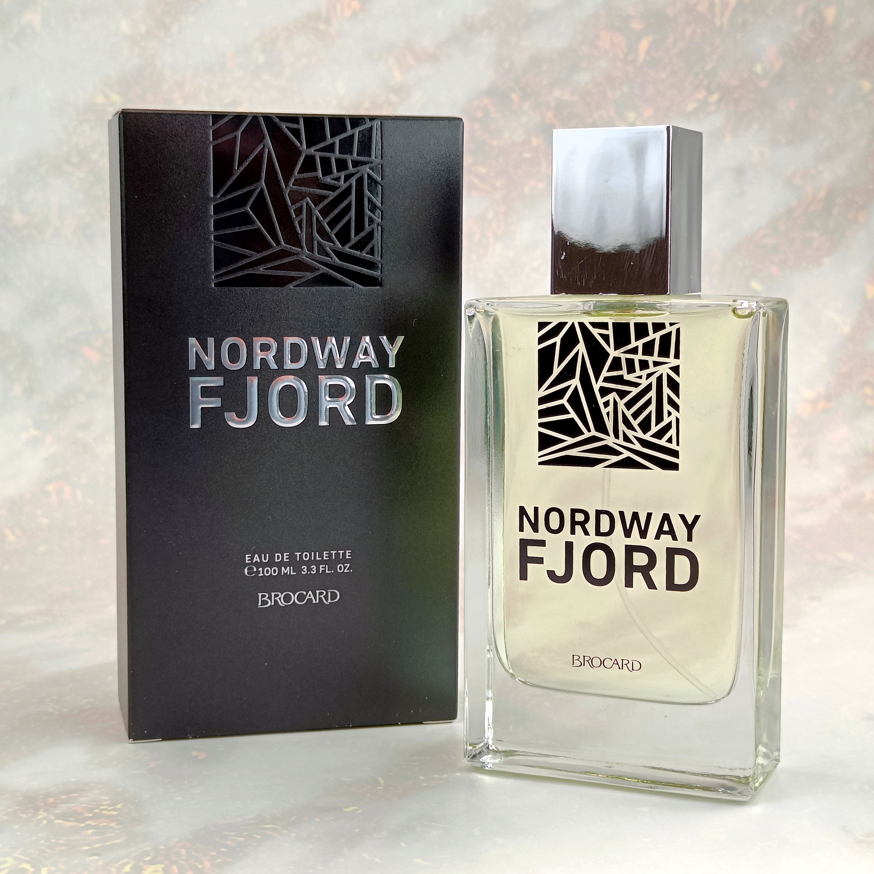 Туалетная вода мужская Nordway Fjord, 100мл