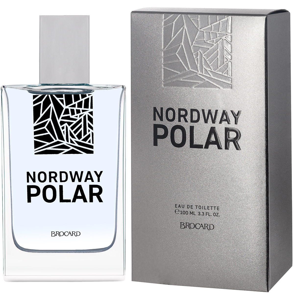 Туалетная вода мужская Nordway Polar, 100мл