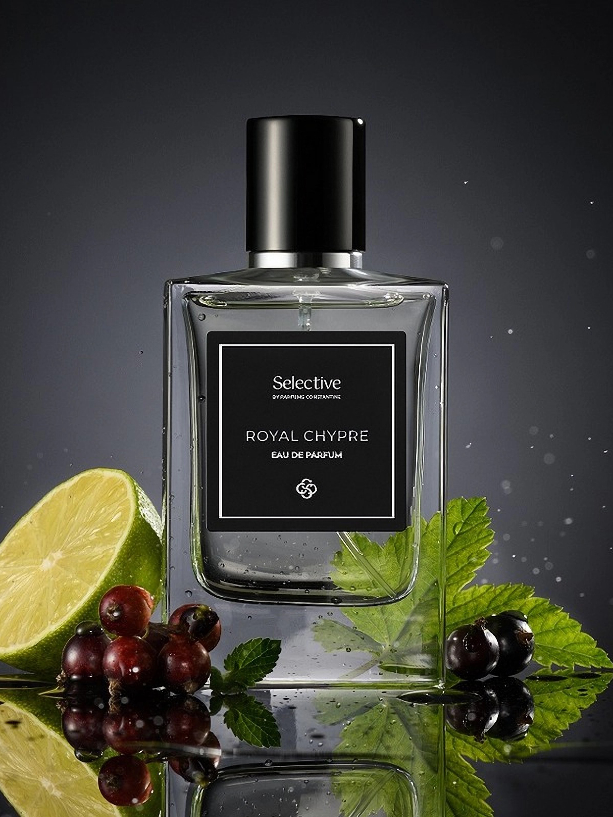 Парфюмерная вода для мужчин Parfums Constantin Selective Royal Chypre, 60мл