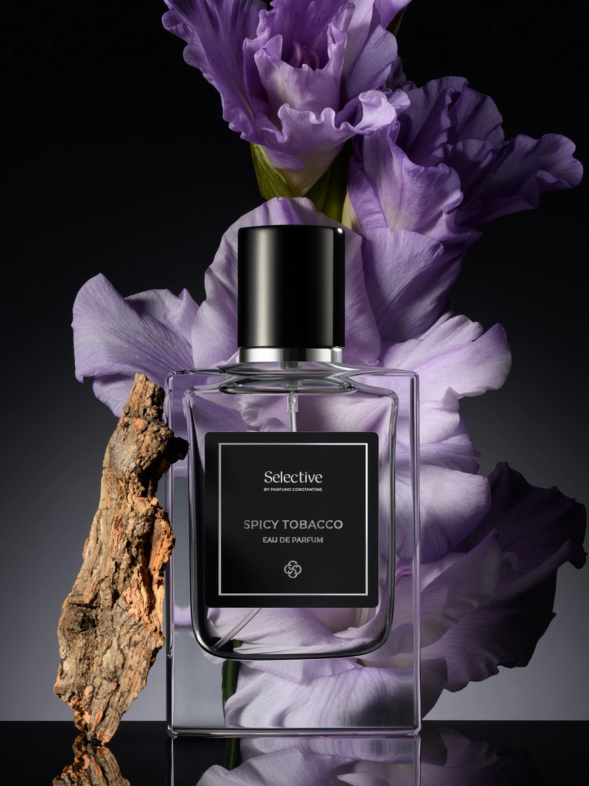 Парфюмерная вода для мужчин Parfums Constantin Selective Spicy Tobacco, 60мл