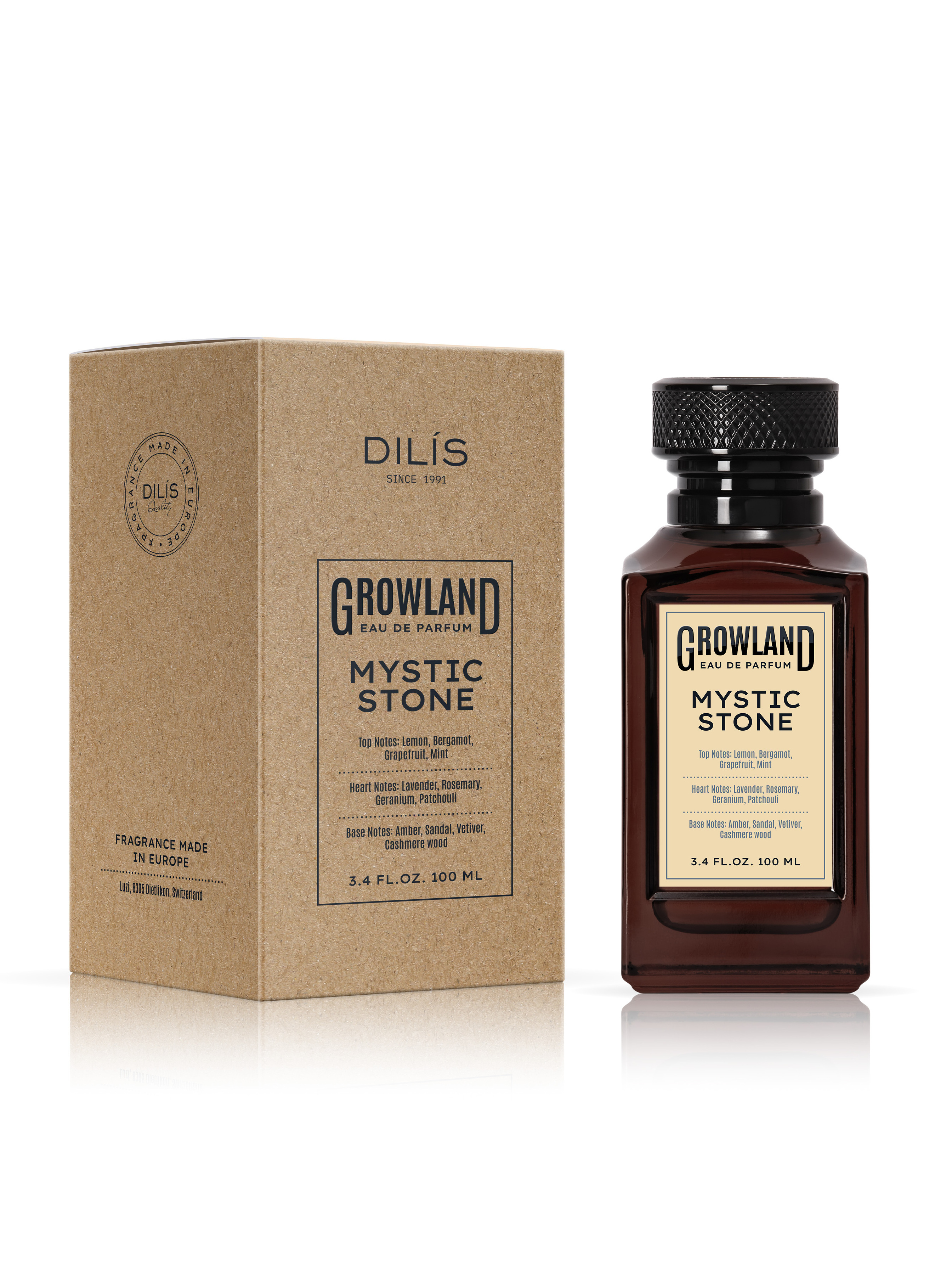 Парфюмерная вода для мужчин Dilis Growland Mystic Stone, 100 мл