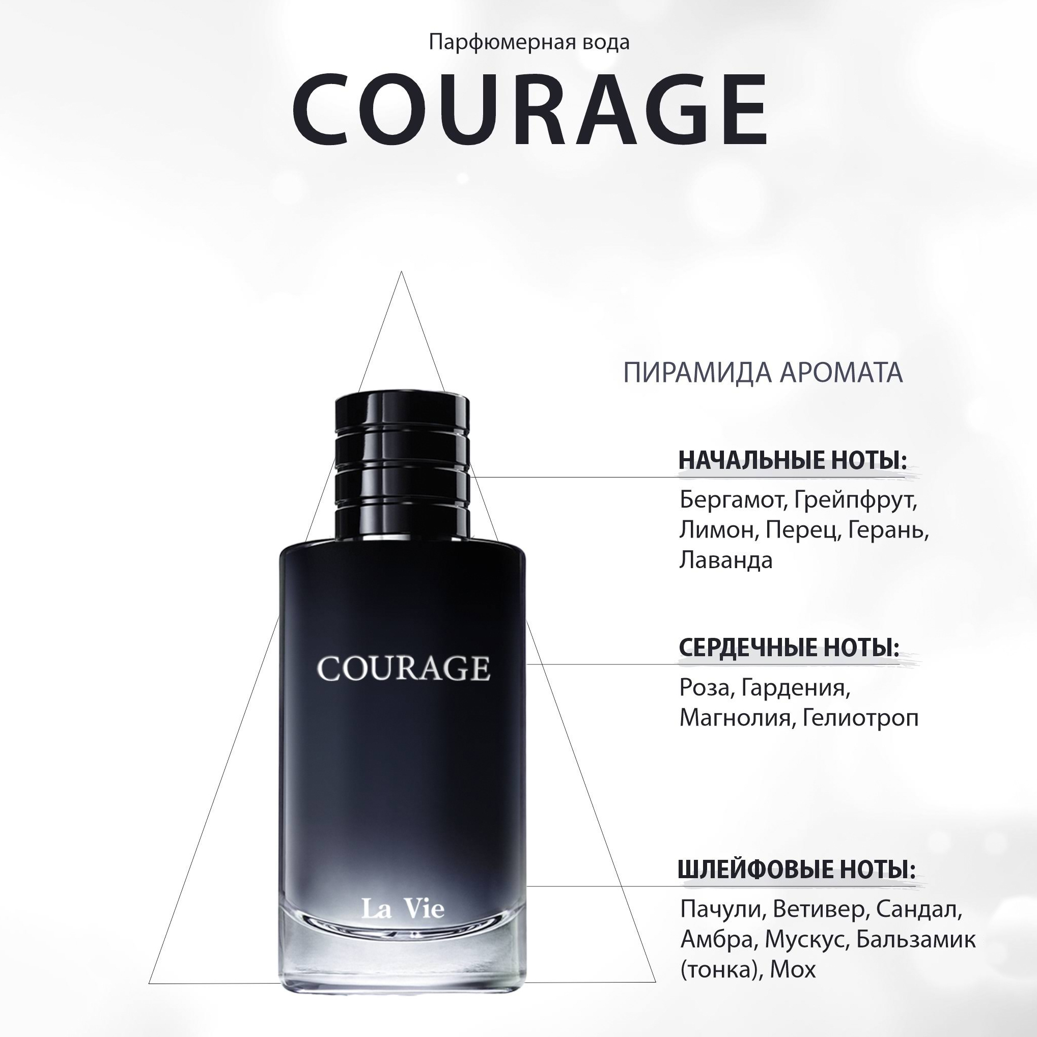 Парфюмерная вода для мужчин La Ville Courage, 100 мл